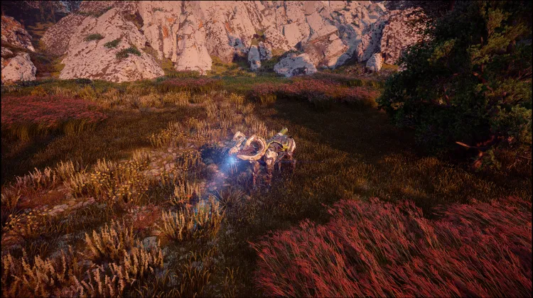 चार्जर साइट