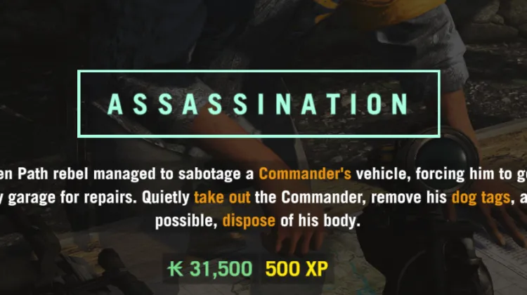 ASSASSINATION
