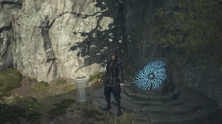 Piedra de Grieta Corazón de Árbol