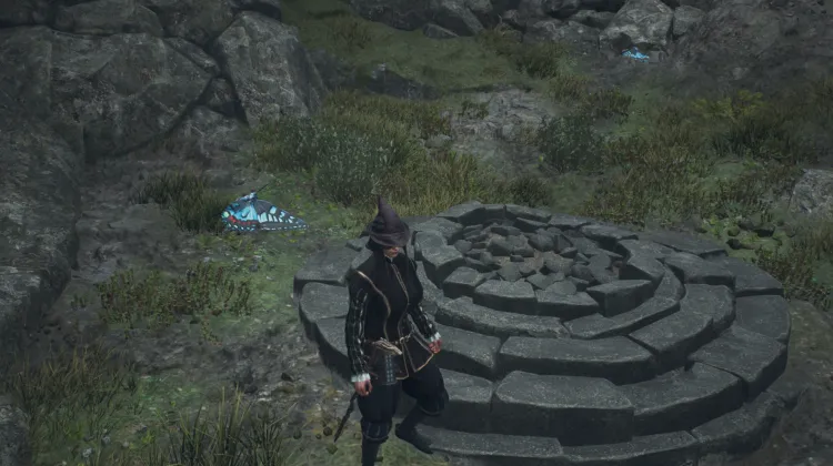 Piedra de Fisura Olvidada