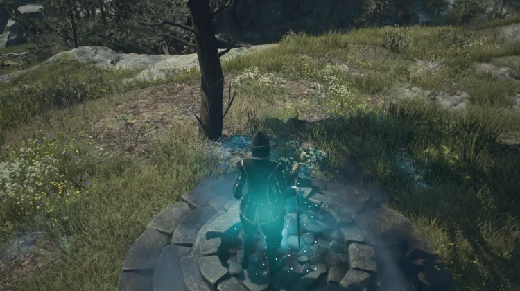 Piedra de Fisura Olvidada