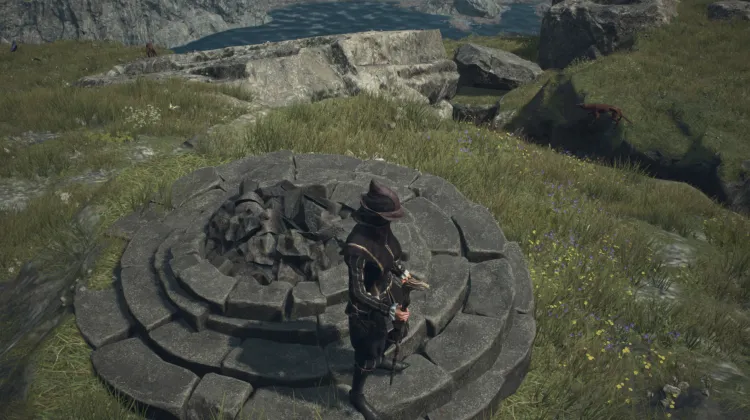 Piedra de Fisura Olvidada