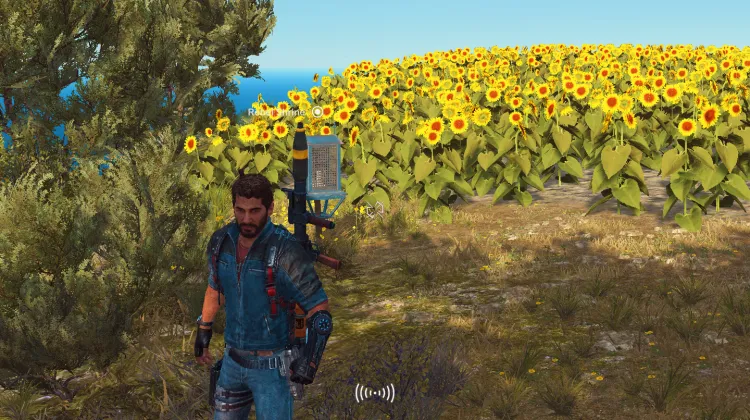 Santuários Rebeldes