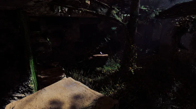 आओ और इसे ले जाओ!