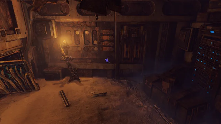 पांच जनजातियां