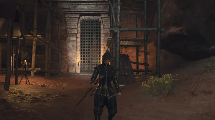 Coral Snakes' Hideout