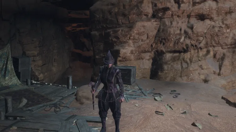 Coral Snakes' Hideout