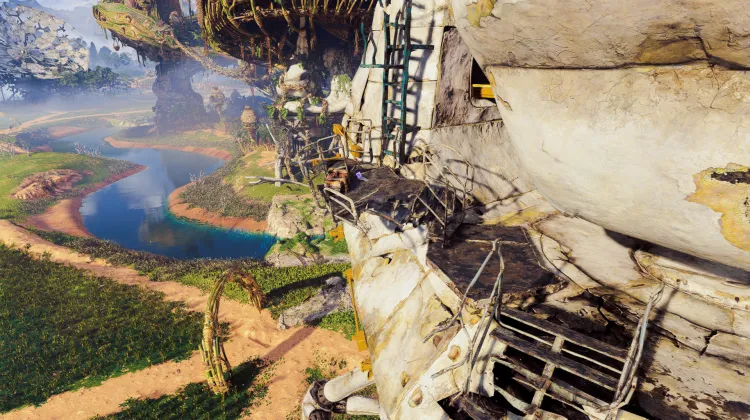 होलोमैरिज