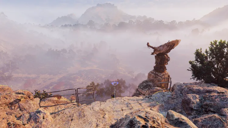 Vista Point: The Memorial Grove