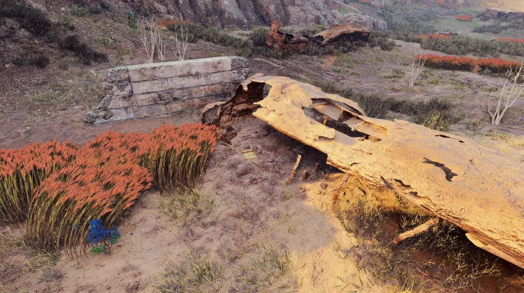 धिक्कार है उस कोर्जुंड को!