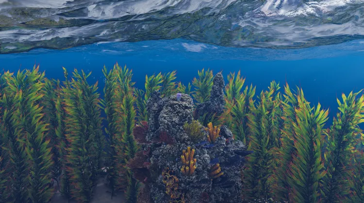 लाइव@अल्कैट्राज़