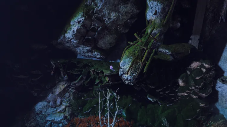 ADMTN_WRTH/BRN_DREAM_4