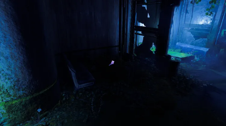 Marjane Nafisi Has Resigned