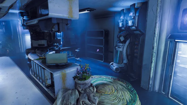 II: Bruchi e Crisalidi