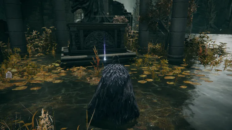 2x Scadutree Fragment