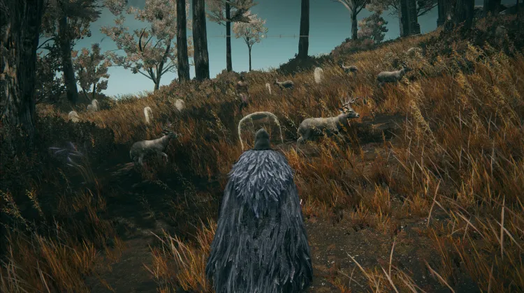 Logur, The Beast Claw