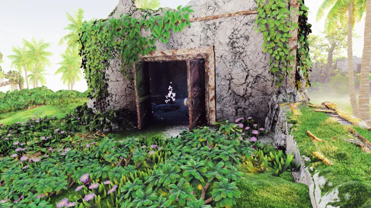 हवाई कैप्चर: पश्चिम