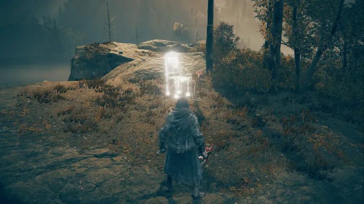 Serpent Crest Shield