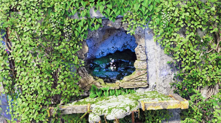 Aerial Capture: Northwest