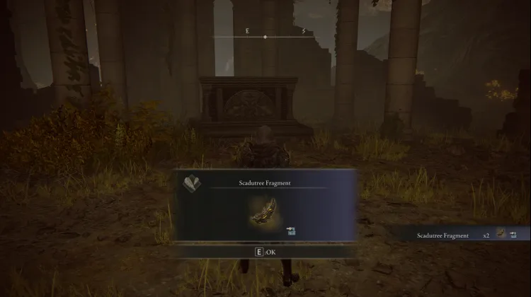 2x Scadutree Fragment