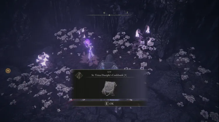 Buku Masak Pengikut St. Trina