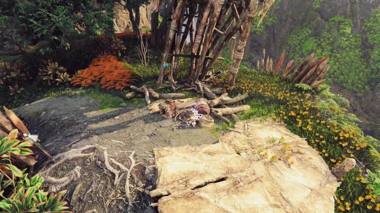 Aerial Capture: North