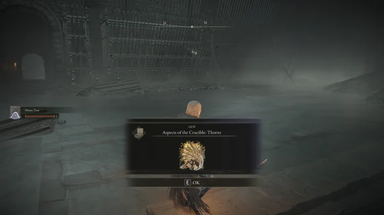 Aspect of the Crucible: Thorns