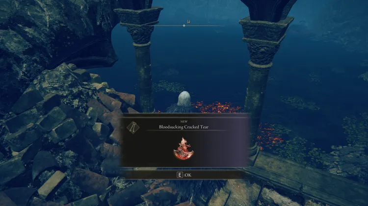 Bloodsucking Cracked Tear