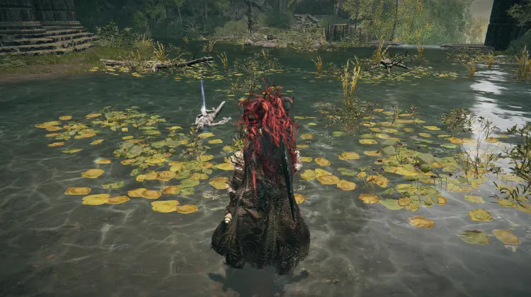 Divine Bird Feathers