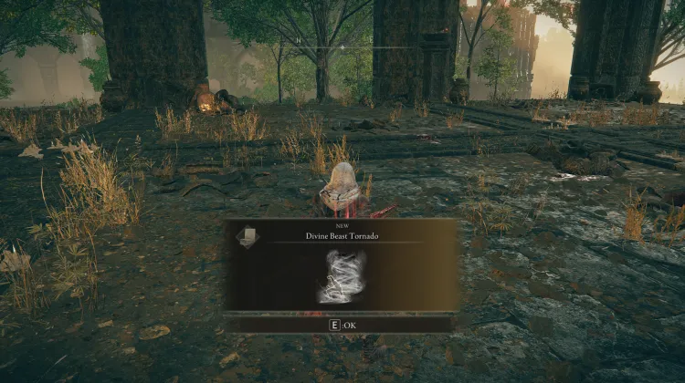 Divine Beast Tornado