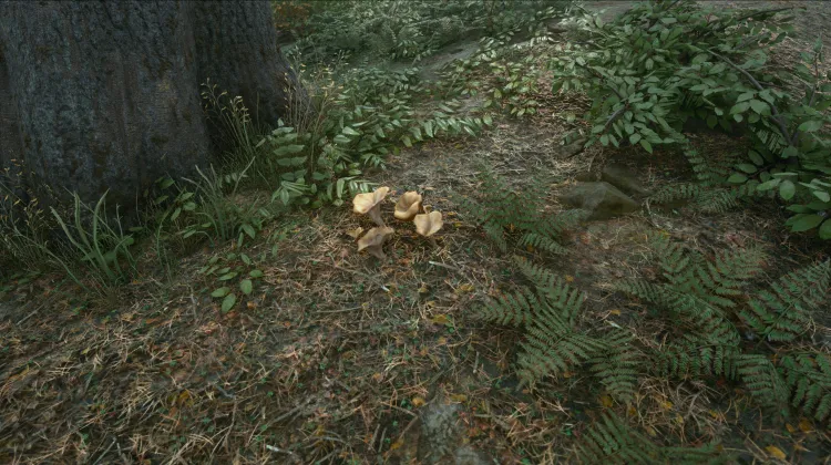 Cuerno de la Abundancia