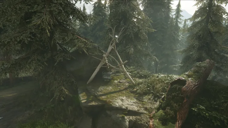 El Dolor es un Regalo