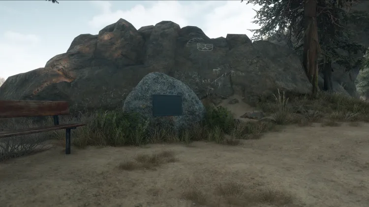 Petroglifos Indígenas