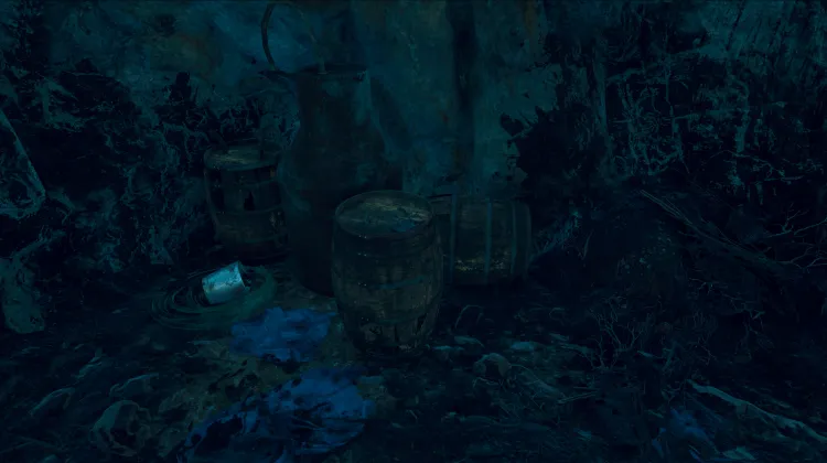 Nota de campo del investigador - 0988