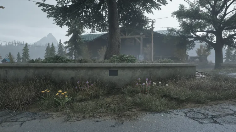 Árboles lunares - "Cultivados desde el espacio exterior"