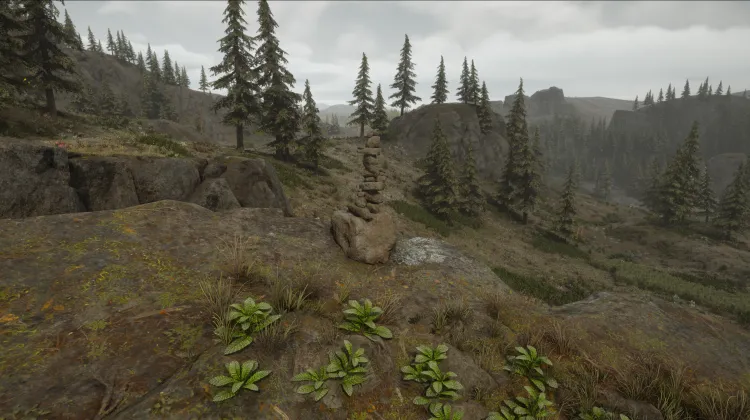 Subcategoría sin título