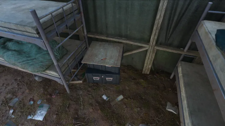 Taylor - "Volando alto"