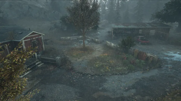 Infestación del rancho Rimview