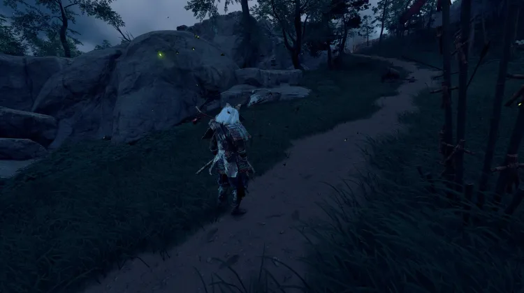 भटकने वाले का पुआल टोपी