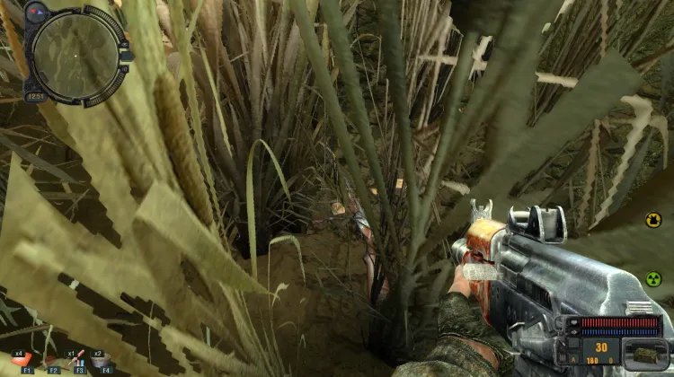 Fusil de chasse et munitions