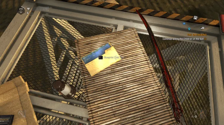 कोल्ड कॉप