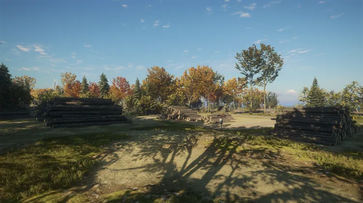 Mullerwald Logging Area