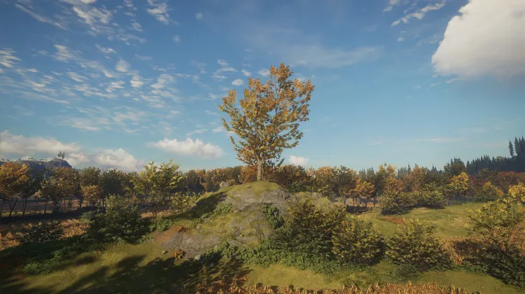 โอลด์ มุลเลอร์