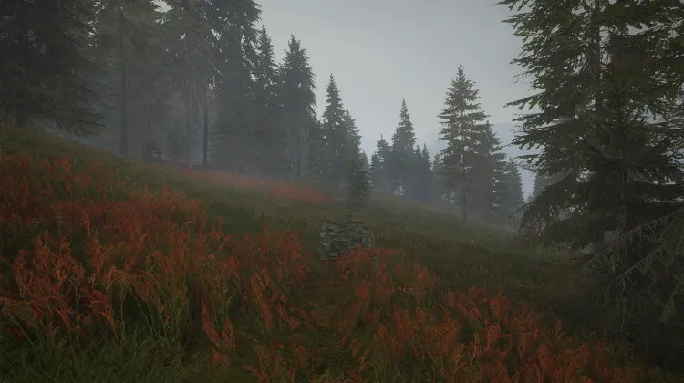 माउंट बर्गन