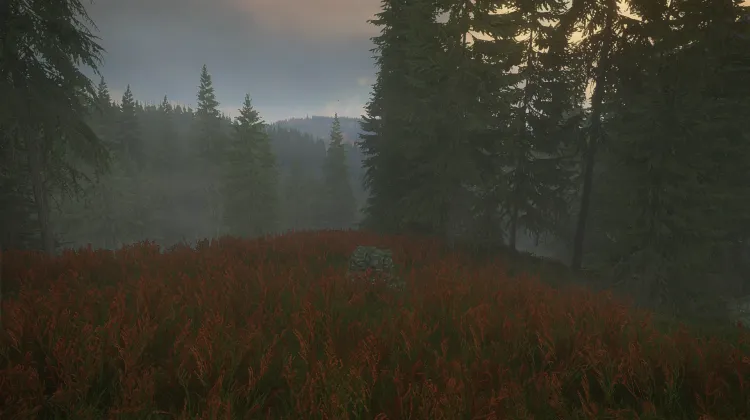 The European Bison Advisory Organization