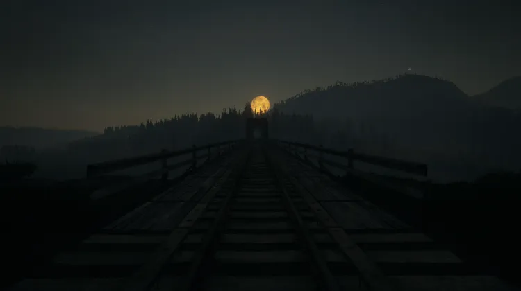 Jalur Kereta Api Distrik Danau