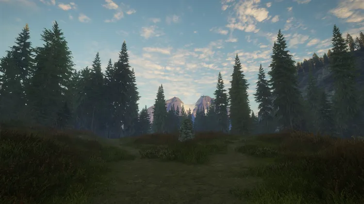 O Jeleniu Wirginijskim