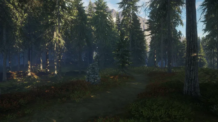 O czarnym niedźwiedziu