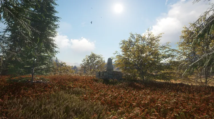 Kapusta Niedźwiedzia