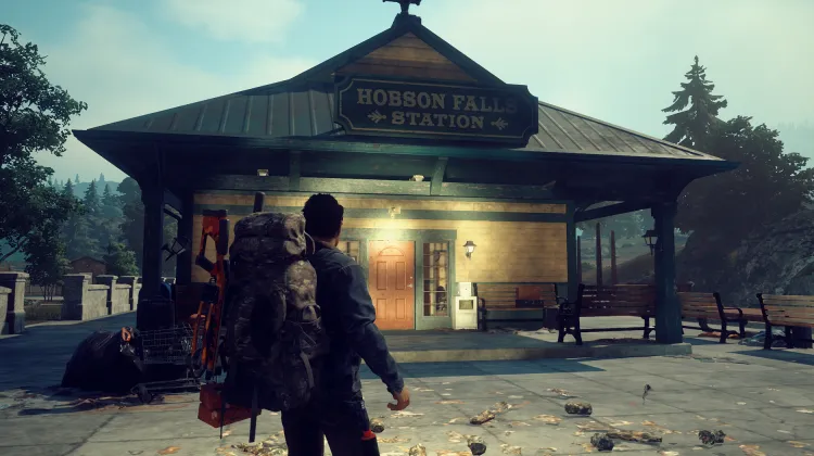 Hobson Falls Station